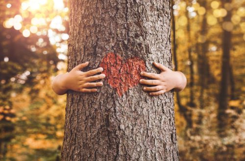 Nature lover, close up of child hands hugging tree with copy space
